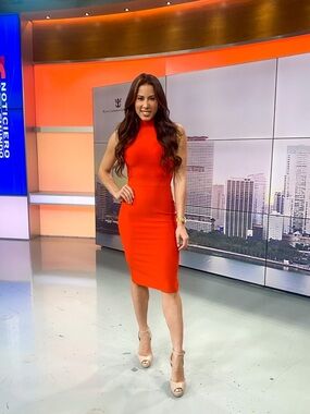 Sleeveless High-Neck Red Sheath Dress